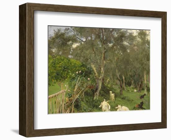 Olives in Corfu, 1909-John Singer Sargent-Framed Giclee Print
