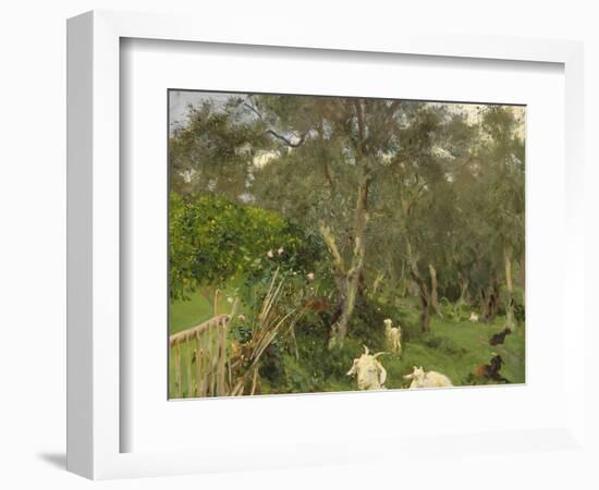 Olives in Corfu, 1909-John Singer Sargent-Framed Giclee Print