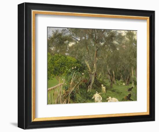 Olives in Corfu, 1909-John Singer Sargent-Framed Giclee Print