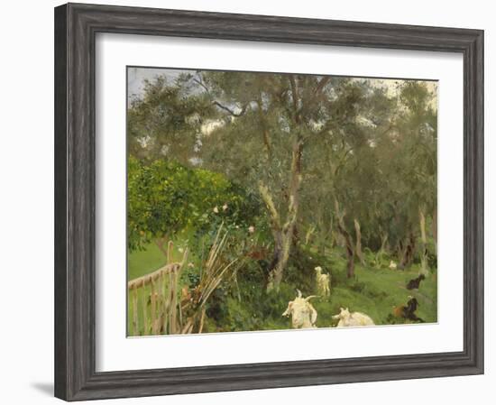 Olives in Corfu, 1909-John Singer Sargent-Framed Giclee Print