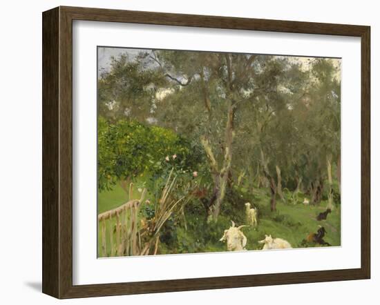 Olives in Corfu, 1909-John Singer Sargent-Framed Giclee Print