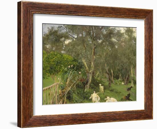 Olives in Corfu, 1909-John Singer Sargent-Framed Giclee Print