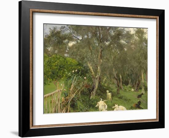 Olives in Corfu, 1909-John Singer Sargent-Framed Giclee Print