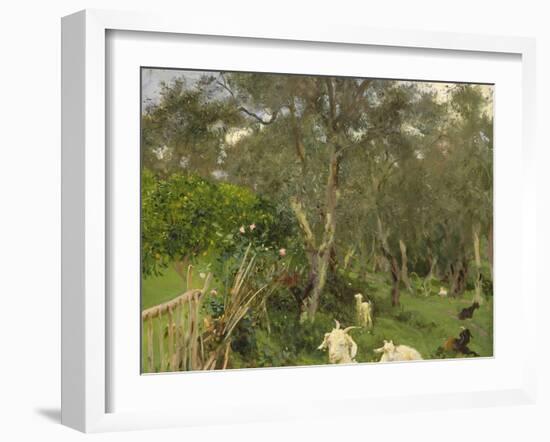 Olives in Corfu, 1909-John Singer Sargent-Framed Giclee Print