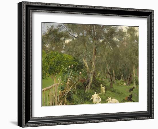 Olives in Corfu, 1909-John Singer Sargent-Framed Giclee Print