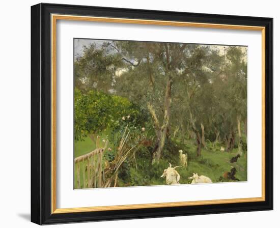 Olives in Corfu, 1909-John Singer Sargent-Framed Giclee Print