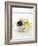 Olives, Olive Oil and White Bread-null-Framed Photographic Print