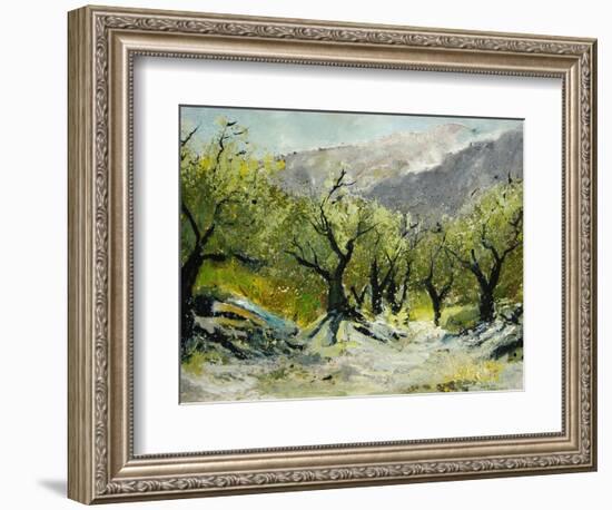 Olivetrees-Pol Ledent-Framed Art Print