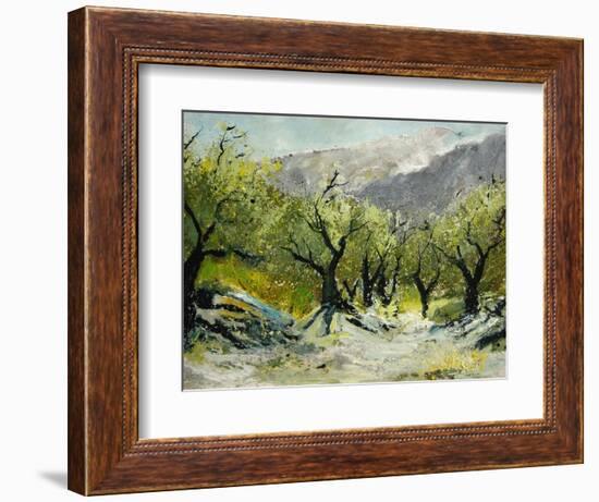 Olivetrees-Pol Ledent-Framed Art Print