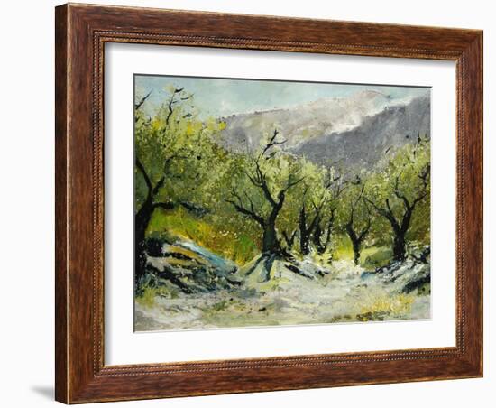 Olivetrees-Pol Ledent-Framed Art Print