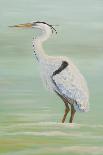 Egret Sunset I-Olivia Brewington-Art Print