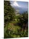 Photographic Print