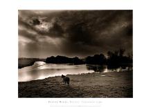 Horse Looking at the river, Normandie 99-Olivier Meriel-Framed Art Print
