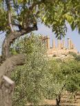 Olive and Almond Trees and the Temple of Juno, Valley of the Temples, Agrigento, Sicily, Italy-Olivieri Oliviero-Photographic Print