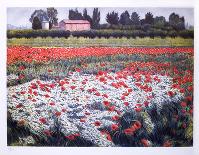 Untitled - Poppy Fields-Oliviero Masi-Framed Limited Edition
