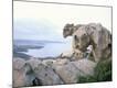 Premium Photographic Print
