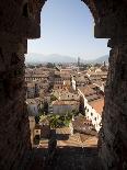 View from the Giunigi Tower, Lucca, Tuscany, Italy, Europe-Oliviero Olivieri-Photographic Print