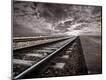 Premium Giclee Print