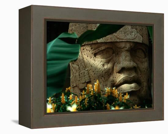 Olmec, Colossal Head, San Lorenzo, Xalapa Museum, Veracruz, Mexico-Kenneth Garrett-Framed Premier Image Canvas