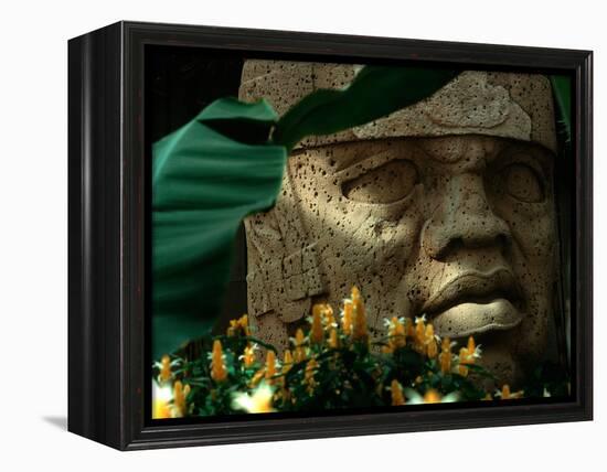 Olmec, Colossal Head, San Lorenzo, Xalapa Museum, Veracruz, Mexico-Kenneth Garrett-Framed Premier Image Canvas
