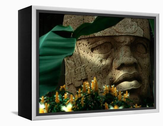 Olmec, Colossal Head, San Lorenzo, Xalapa Museum, Veracruz, Mexico-Kenneth Garrett-Framed Premier Image Canvas