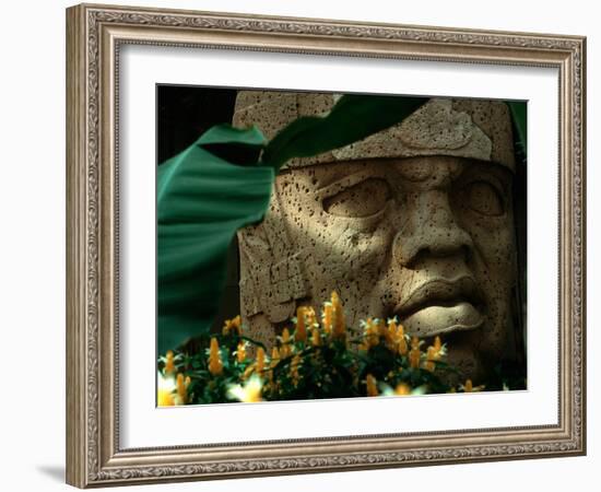 Olmec, Colossal Head, San Lorenzo, Xalapa Museum, Veracruz, Mexico-Kenneth Garrett-Framed Photographic Print