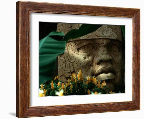 Olmec, Colossal Head, San Lorenzo, Xalapa Museum, Veracruz, Mexico-Kenneth Garrett-Framed Photographic Print