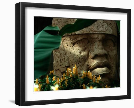 Olmec, Colossal Head, San Lorenzo, Xalapa Museum, Veracruz, Mexico-Kenneth Garrett-Framed Photographic Print