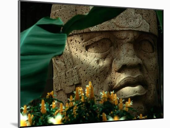 Olmec, Colossal Head, San Lorenzo, Xalapa Museum, Veracruz, Mexico-Kenneth Garrett-Mounted Photographic Print