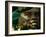 Olmec, Colossal Head, San Lorenzo, Xalapa Museum, Veracruz, Mexico-Kenneth Garrett-Framed Photographic Print