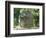 Olmec Stone Head at Parque-Museo La Venta, Villahermosa, Tabasco, Mexico, North America-Richard Nebesky-Framed Photographic Print