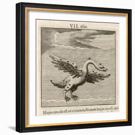 Olor the Swan-Gaius Julius Hyginus-Framed Art Print