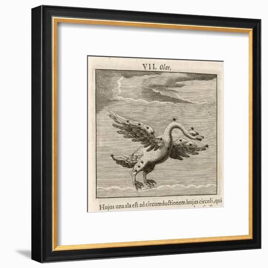 Olor the Swan-Gaius Julius Hyginus-Framed Art Print