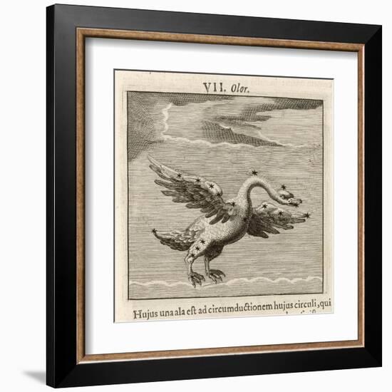 Olor the Swan-Gaius Julius Hyginus-Framed Art Print