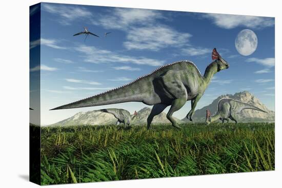Stretched Canvas Print, , large