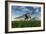 Olorotitan Duckbill Dinosaurs Grazing-null-Framed Art Print