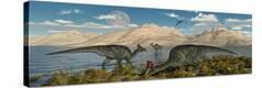 Stretched Canvas Print