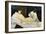 Olympia, 1863-Edouard Manet-Framed Giclee Print