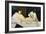 Olympia, 1863-Edouard Manet-Framed Giclee Print