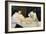 Olympia, 1863-Edouard Manet-Framed Giclee Print