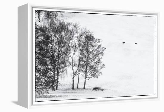 Olympia park in winter, Munich, Bavaria, Germany-Panoramic Images-Framed Premier Image Canvas