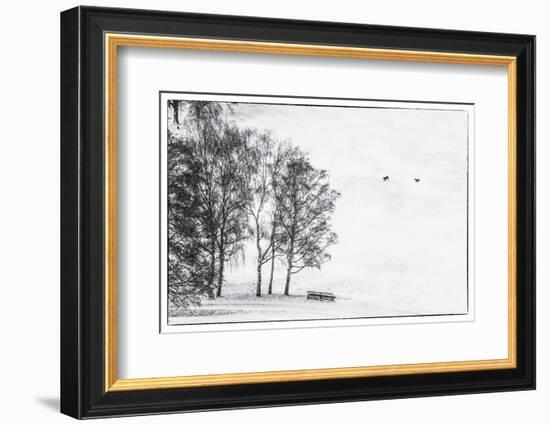 Olympia park in winter, Munich, Bavaria, Germany-Panoramic Images-Framed Photographic Print