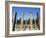 Olympia, Unesco World Heritage Site, Greece-Oliviero Olivieri-Framed Photographic Print