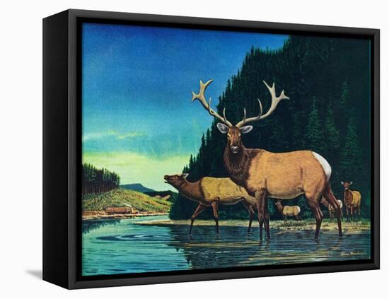 Olympic Elk-Bruce Bontrager-Framed Premier Image Canvas