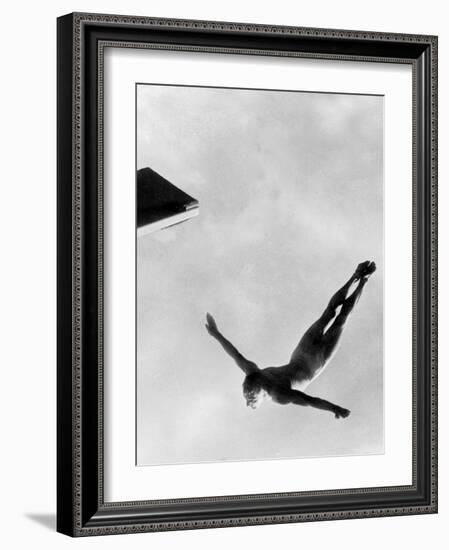 Olympic Games in Helsinki : Diving During Swimming Events July 29, 1952-null-Framed Photo