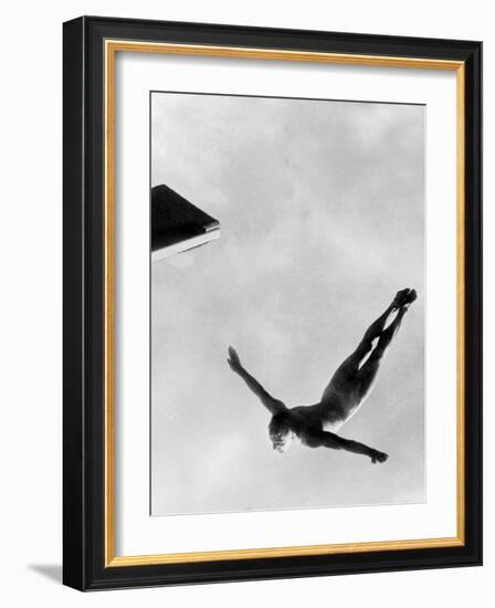 Olympic Games in Helsinki : Diving During Swimming Events July 29, 1952-null-Framed Photo