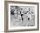 Olympic Games in Helsinki : Malvin Whitfield (USA) Winning the 800 Meters Race in 1 Minute 49 Sec-null-Framed Photo