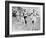 Olympic Games in Helsinki : Malvin Whitfield (USA) Winning the 800 Meters Race in 1 Minute 49 Sec-null-Framed Photo