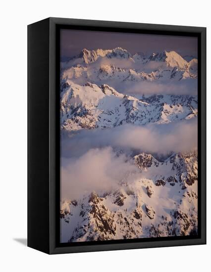 Olympic Mountain Range, Olympic National Park, UNESCO World Heritage Site, Washington State, USA-Colin Brynn-Framed Premier Image Canvas