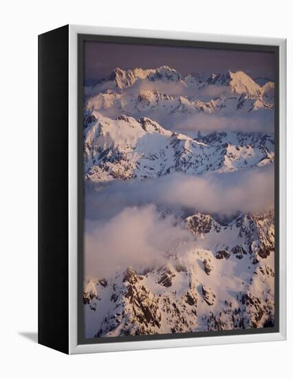 Olympic Mountain Range, Olympic National Park, UNESCO World Heritage Site, Washington State, USA-Colin Brynn-Framed Premier Image Canvas